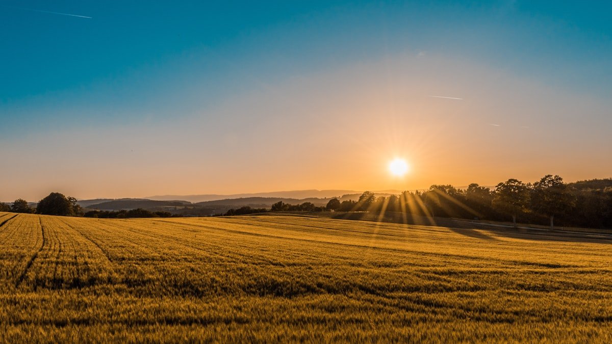 Rural Acreage Development & Fencing
